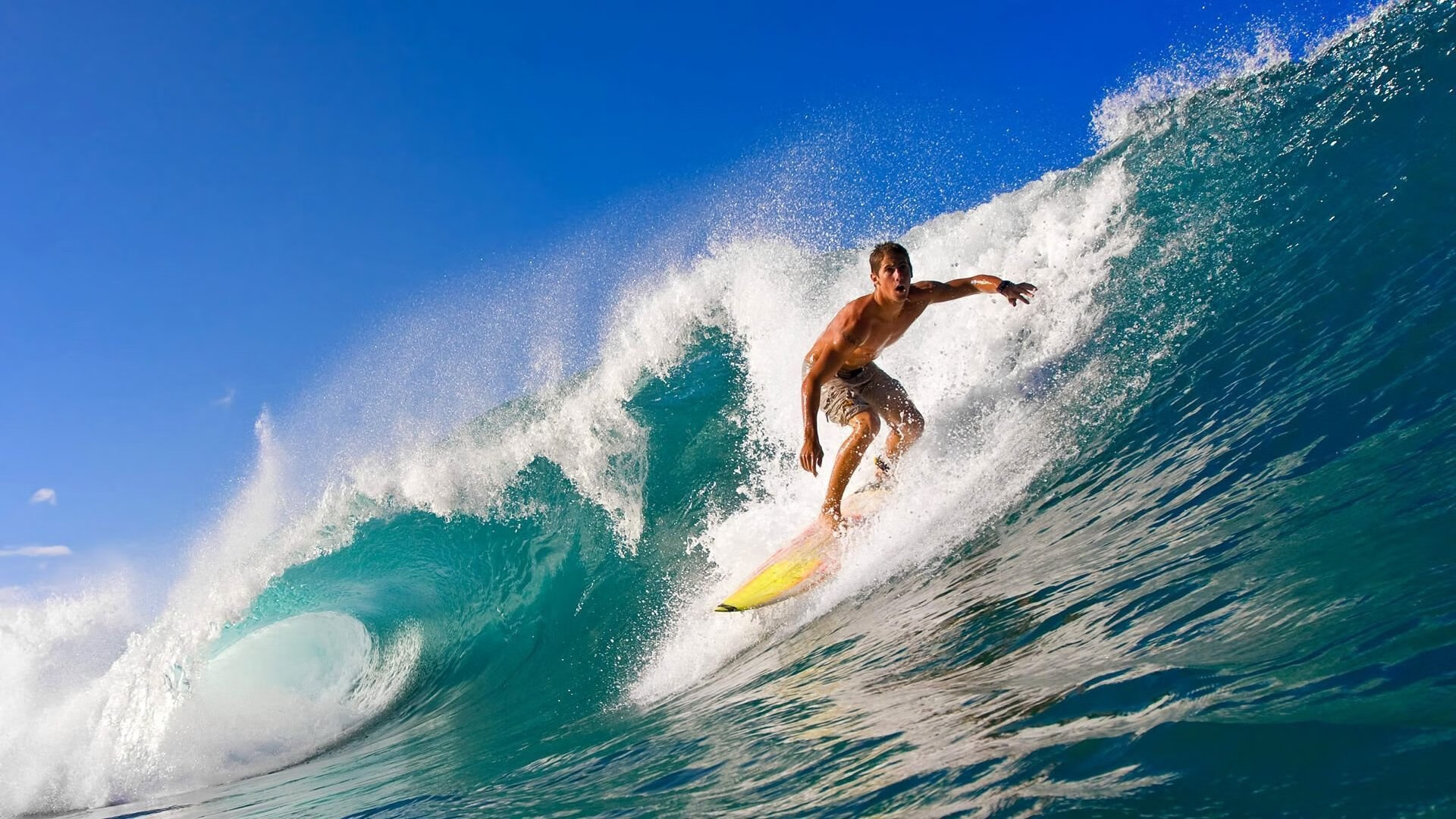 开云ios-区块链交易应用：优化联盟交易流程，让一切公平可信，区块链联盟链项目